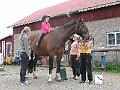 Lasten leiri 1 2008